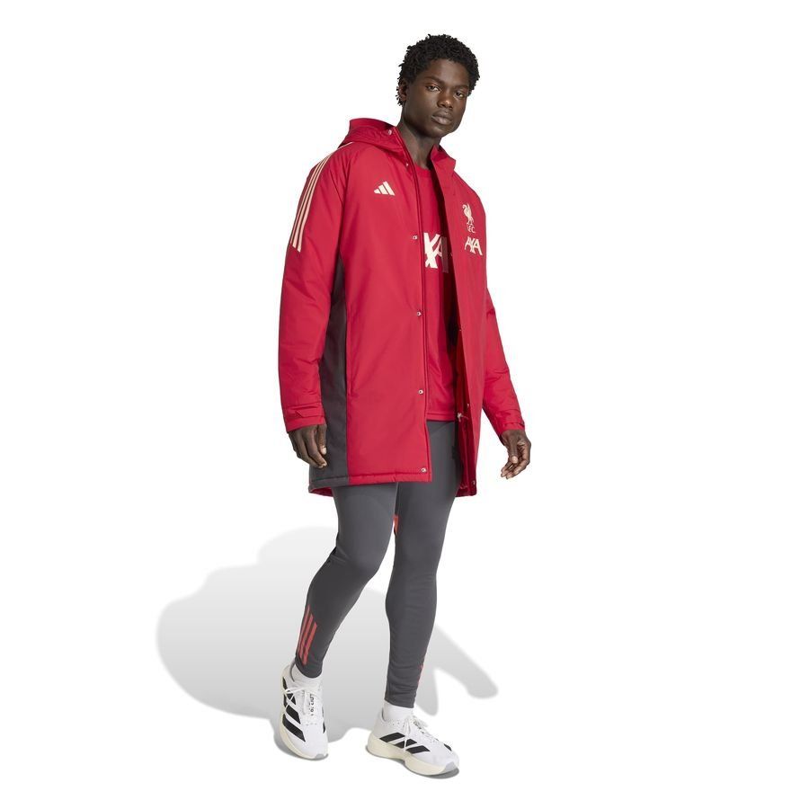 Liverpool Jacket Tiro 25 Parka - Strawberry Red - Men's-SoccerKits Hub | Buy Soccer Jerseys Online